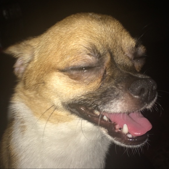 Meet your Posher, Vintage! - Picture 2 of 8